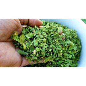 Feuilles de Moringa Oleifera séchées de haute qualité pour les infusions à base de plantes, les aliments fonctionnels et les applications de soins de santé naturels - Product Image 3
