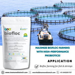 Probióticos de acuicultura para promover la actividad bacteriana saludable - Product Image 5