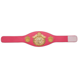 Cinturón de Lucha Libre Profesional al por Mayor con Placas Laterales Personalizables y Diseño Intercambiable - Venta Directa de Fábrica - Product Image 3
