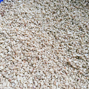 FREE Sample Caju Badam Cashew Kernel SANTIGO Ready To Ship Kaju Cashew Nuts Kernel Broken - Product Image 6