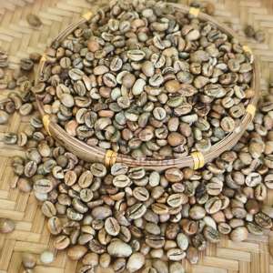 Bon prix de gros pour les grains de café vert Robusta et Arabica au meilleur prix au Vietnam, échantillons de 1 kg de grains de café - Product Image 5