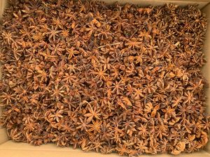 Anís estrellado crudo y seco de alta calidad premium de Vietnam, marca Agrikim, 100% natural. Contactar a la Sra. Doris +84 35 254 2206 - Product Image 6