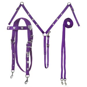 Juego de arreos de nailon plateado con diseño de corazón para caballo, estilo western, incluye cabezada, pechera y riendas, de doble capa, duradero, equipo ecuestre ajustable - Product Image 4