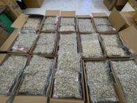 [DISPONIBLE] Anchois séchés de petite taille, poisson marin pour la préparation de soupes riches et savoureuses dans la restauration au Vietnam