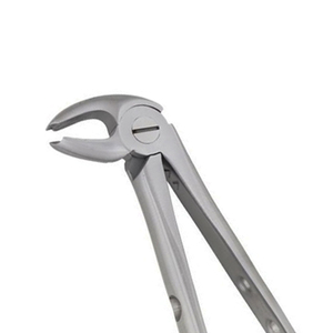 ARISTON INTERNATIONAL Pinzas de Extracción Dental Manuales de Acero Inoxidable de Alta Calidad, Pinzas de Extracción Pedo Cowhorn, CE - Product Image 6