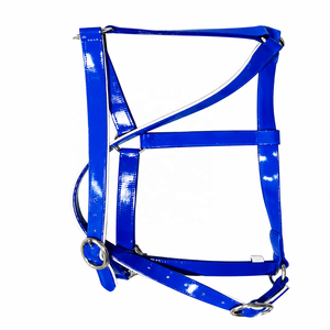 Harnais d'endurance pour cheval avec logo personnalisé, rembourré confortablement, imperméable en PVC, style selle anglaise, ferrures en laiton massif, personnalisable - Product Image 6