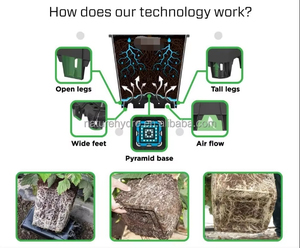 Chậu ươm cây giống nhựa 25L 30L 35L, thùng trồng cây cho dâu tây, việt quất, hoa, bán buôn nông sản - Product Image 6