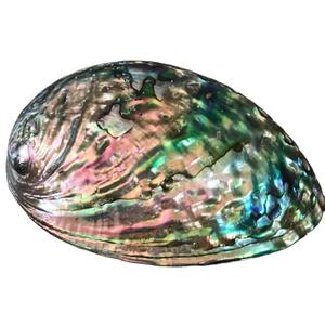 11-13CM Polished Natural Paua Abalone Shell Sage Smudge Kit with <b>Tripod</b> Stand, Sustainably Collected - for Smudging, Home Decor - Product Image 5