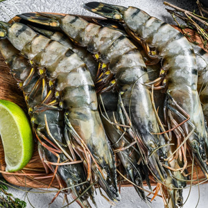 ผู้จัดจำหน่ายขายส่งกุ้งแช่แข็งคุณภาพดีที่สุด ราคาถูก กุ้งลายเสือดำ - Product Image 3