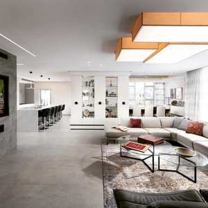 Paneles de Revestimiento de Pared de Piedra de Pizarra Plateada Brillante, Acabado Texturizado Natural, Superficie Decorativa Moderna para Interiores de Villas - Product Image 1