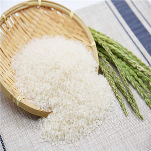 Riz Calrose biologique de qualité supérieure, prix d'usine, emballage en vrac |   Non-OGM, haut rendement, idéal pour les restaurants et la vente en gros au détail - Product Image 2