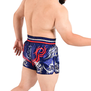 Shorts de Muay Thai pour hommes, couleur unie personnalisable, best-seller, prix bas, haute qualité, dernier design - Product Image 3