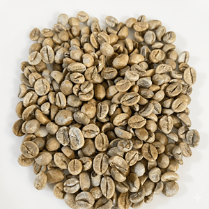 High Quality 100% Raw Grade 1 60kg/Bag Honey Process Robusta Green <b>Coffee</b> <b>Beans</b> From DakLak Vietnam - Product Image 1