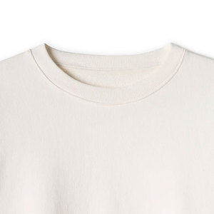 Sudadera Unisex Lisa de Fábrica, Forrada de Felpa, 360GSM, para Entrenamiento - Product Image 3