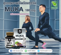 KMP INNOVATION MUKA Extrait Herbal de Rhizome de Gingembre Noir 180 mg Comprimés Pelliculés (Culture Sauvage) Extraits par Solvant 30