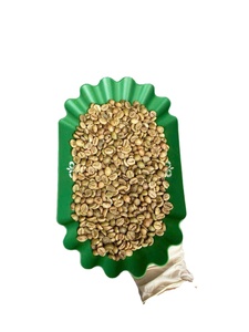 Grains de café vert Robusta vietnamien de qualité AA S16, polis ou non polis, en vrac - Product Image 4