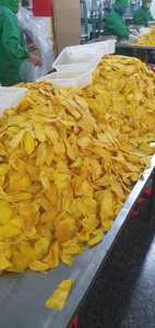 Soft Fruit Snacks AD <b>Dried</b> <b>Mango</b> Bulk Wholesale Factory Price 100% Natural Sour and Sweet High Quality Common - Product Image 4