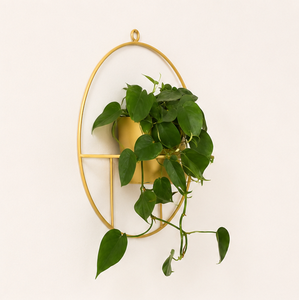 Pot de fleurs mural suspendu en métal de qualité supérieure, pot de fleurs ovale en fer doré de luxe pour la décoration intérieure, support de plantes géométrique - Product Image 2