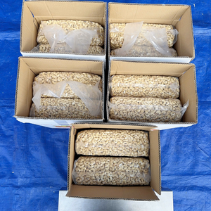 Nueces de Anacardo Directamente de Fábrica SANTIGO, Núcleos de Nuez de Anacardo, Kaju a Granel - Product Image 1