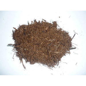 Gia NGUyen กากชานอ้อยดิบสีขาวสว่างสำหรับทำภาชนะใส่อาหารเวียดนาม - Product Image 1