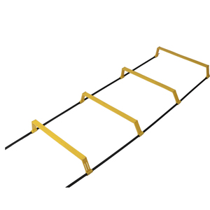 Elevated <b>Ladder</b> - Product Image 2