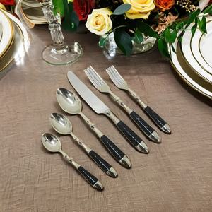 Juego de cubiertos de resina moderna de lujo para bodas y juego de cubiertos de acero inoxidable para regalo de negocios juego de cubiertos con mango de resina - Product Image 1