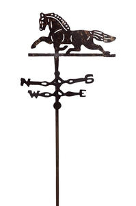 Support de jardin en fer en forme de chauve-souris, finition antique, design moderne, taille personnalisée pour la décoration extérieure, piquets pour plantes - Vente en gros - Product Image 4