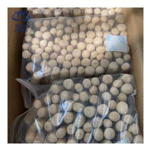 Juguete para Perros de Madera de Café de Venta Rápida, Resistente a Mordidas, Favorece el Cuidado Bucal y Mantiene a los Perros Entretenidos 2026 - Product Image 2