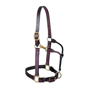 Bridon de cheval en cuir souple de haute qualité, réglable, avec design personnalisable, léger pour l'équitation, rembourré et de qualité supérieure - Product Image 2