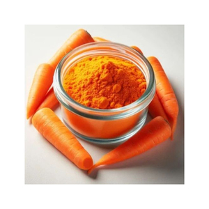 Poudre de carotte en gros, qualité alimentaire, pour soupes, sauces et mélanges instantanés, à prix compétitif - Product Image 1