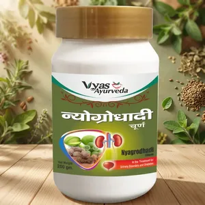 Poudre de Vyas Ayurveda Nyagrodhadi Churna 200 g, extrait d'herbes, complément alimentaire, qualité alimentaire, bien-être, équilibre corporel quotidien - Product Image 1
