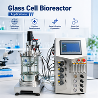 Biorreactor de Sobremesa de 0.2L a 30L, Sistema de Fermentación Celular de Vidrio Borosilicato con Control Remoto para Fermentación Microbiana