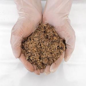 Silage de Cáscara de Piña Fermentada, Precio de Fábrica, Estándar Internacional, Empacado en Bolsa Jumbo de 500 kg, Superventas - Product Image 6
