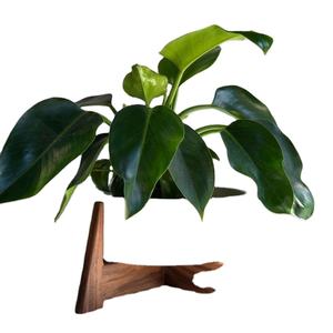 RUSTIQUE pot de fleurs souhaitant bien planteur arrière-cour jardin décor créatif jardinières en bois écorce pots de fleurs jardin - Product Image 5