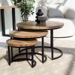 Mesa de Centro Vandana Astra Nimbus de Madera de Mango para Interiores de Sala de Estar Moderna - Product Image 6