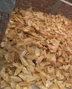 Friandises à mâcher naturelles et biologiques pour chiens, riches en protéines, en forme de mini-bâtonnets tressés et d'oreilles de bœuf séchées - Product Image 6