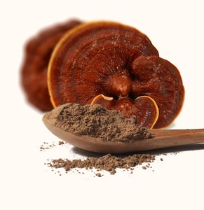 Poudre de Ganoderma Lucidum Biologique en Gros, Champignon Reishi, Superaliment, Antioxydant Naturel et Complément Herbal Stimulant l'Immunité - Product Image 2