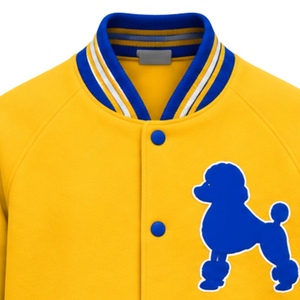 เสื้อแจ็คเก็ตบอมเบอร์ผู้หญิงแบบสั่งทำพิเศษ Sigma Gamma Rho สำหรับชมรมนักศึกษากรีก ซิปด้านหน้า เสื้อคลุมลำลองทันสมัย แจ็คเก็ตแฟชั่น OEM ODM - Product Image 3