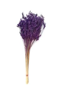 Flores Secas Naturales de Cosmos para Decoración y Arreglos Florales - Product Image 3