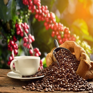 Granos de Café Recién Tostados con Sabor Intenso, Aroma Fragante y Calidad Consistente para Máquinas de Espresso, Preparación por Goteo y Cafeterías - Product Image 1