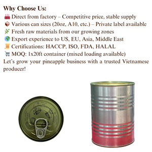 Tranches d'ananas en conserve OEM dans le sirop Brix 16, fourniture d'usine du Vietnam - Product Image 6