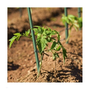Fiberglass <b>Poles</b> Solid <b>Garden</b> Stakes Fence Post Solid Fiberglass Rod <b>Pole</b> - Product Image 1