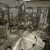 Hoogwaardige automatische drankenvulmachine met tandwiel- en motorsysteem voor plastic flessen, hoge productiviteit