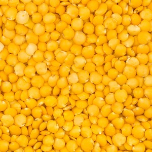 Lentejas Amarillas Cuidadosamente Seleccionadas, Legumbres Secas para Compradores Mayoristas, Calidad Premium, Empaque para Exportación, Suministro para Exportadores - Product Image 1