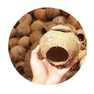 A melhor escolha para o seu pet coco pássaro casa 100% de casca de coco