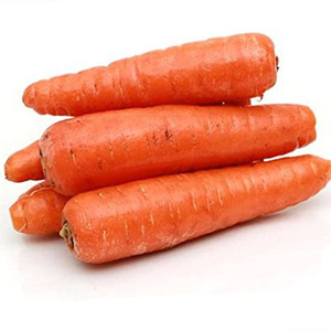 Zanahorias frescas al por mayor - Product Image 2