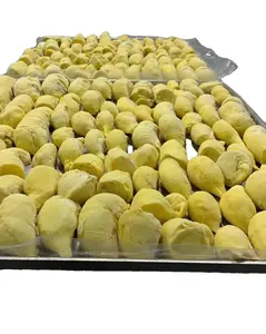 HOT SELLER 2024 FROZEN DURIAN FROM VIET NAM GOOD PRICE IN THE MARKET/ Top Export Frozen Durian From Viet Nam High Quality