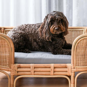 Canapé pour chien en rotin artisanal avec accoudoirs hauts et coussin, lit pour animaux de compagnie en osier, chaise longue pour chat, mobilier d'intérieur pour animaux, décoration de la maison - Product Image 6