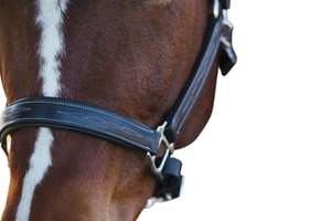 Cabestro de Cuero Duradero Hecho a Mano para Caballos, Equipo Ecuestre Ajustable para Suministro al por Mayor - Product Image 5