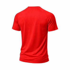 T-shirt de sport pour hommes, motif « No Pain No Gain », respirant, pour l'entraînement, la musculation, les vêtements de sport - Product Image 3